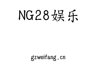 深圳市NG28娱乐电子有限公司官网